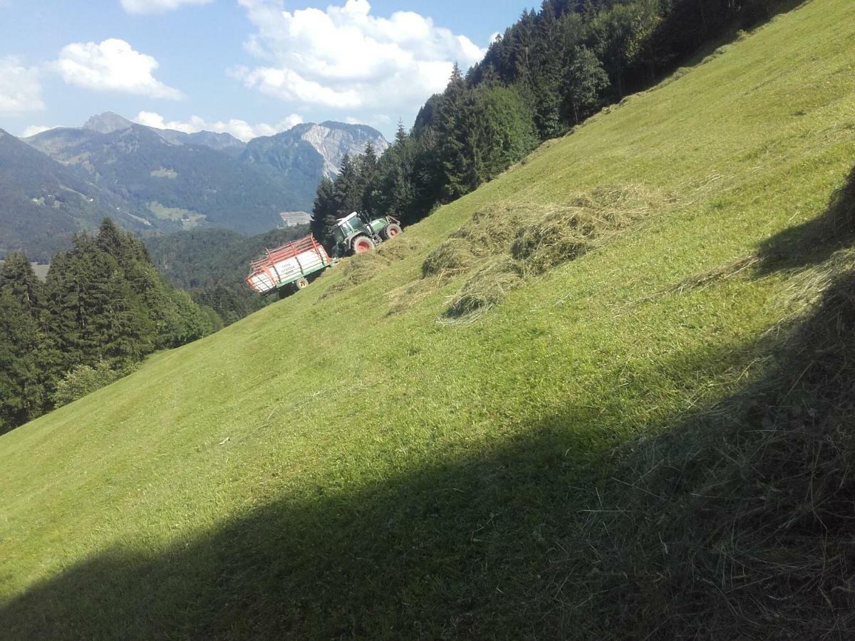 Kirchdorf 300 * Bizau